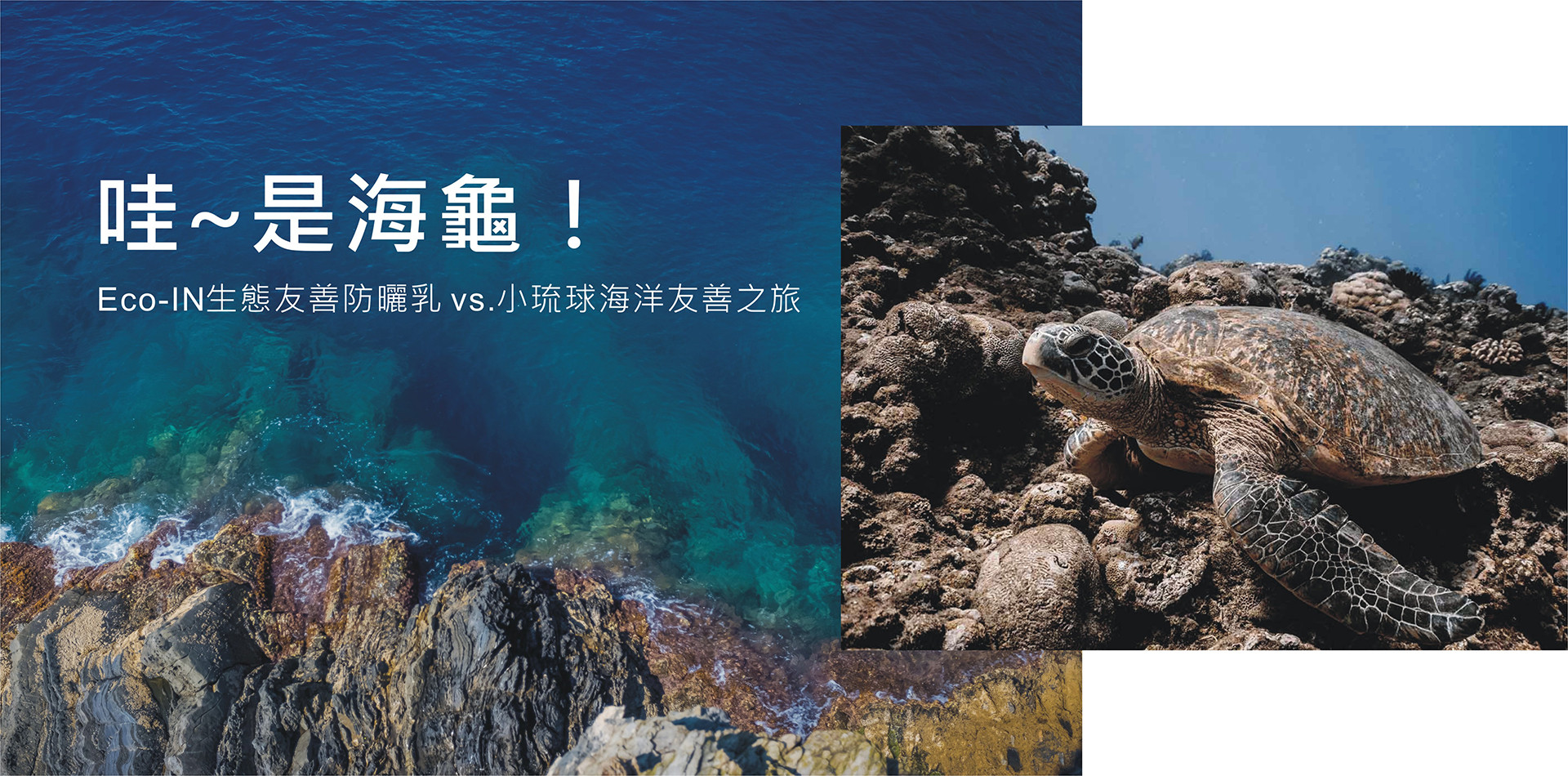 哇~是海龜！小琉球海洋友善之旅